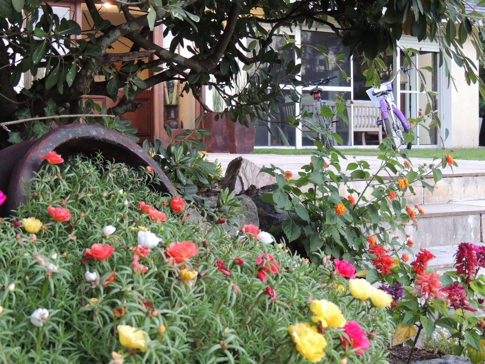 Petit Chateau Hotel Boutique Punta del Este Exterior foto